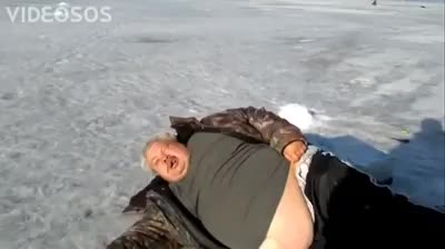 Тюлень на зимней рыбалке