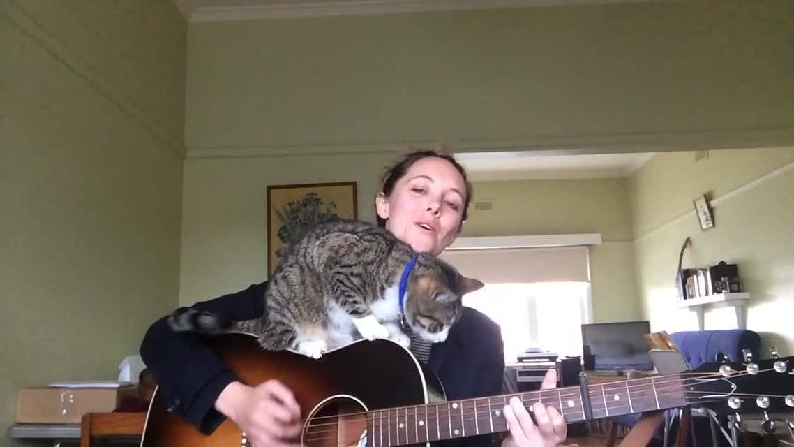 Без кота и песнь не та