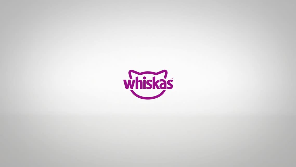 Носимая камера Whiskas для кошек