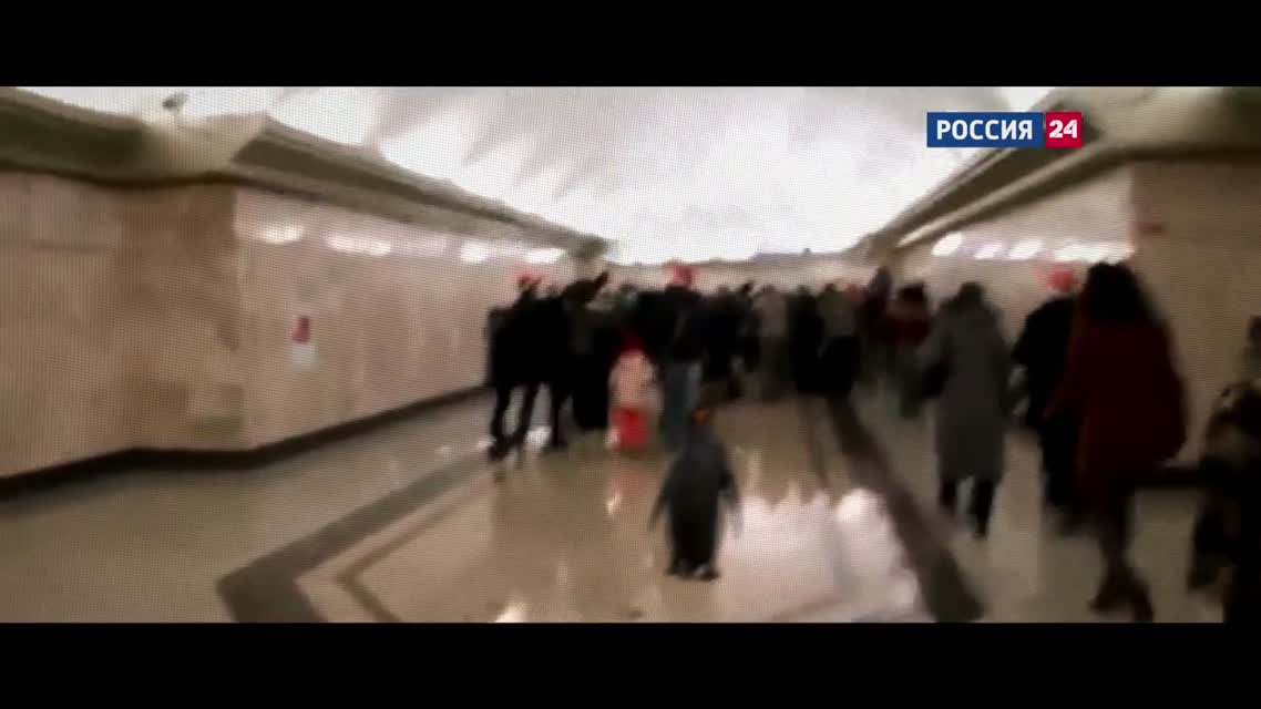 Ленинград — Начинаем отмечать! (OST Ёлки 5)