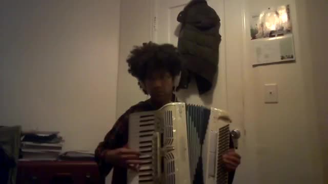 Undertale OST - Nyeh Heh Heh! (Accordion cover)